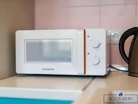 Однокомнатная квартира на сутки Минск Ленинградская кухня